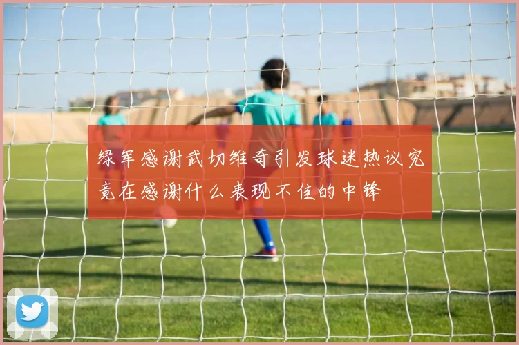 绿军感谢武切维奇引发球迷热议究竟在感谢什么表现不佳的中锋